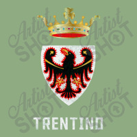 Trentino, Italy Region Flag Design Iphone 13 Pro Max Case | Artistshot