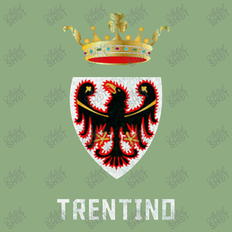 Trentino, Italy Region Flag Design Iphone 13 Pro Max Case | Artistshot