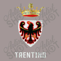 Trentino, Italy Region Flag Design Vintage Hoodie | Artistshot