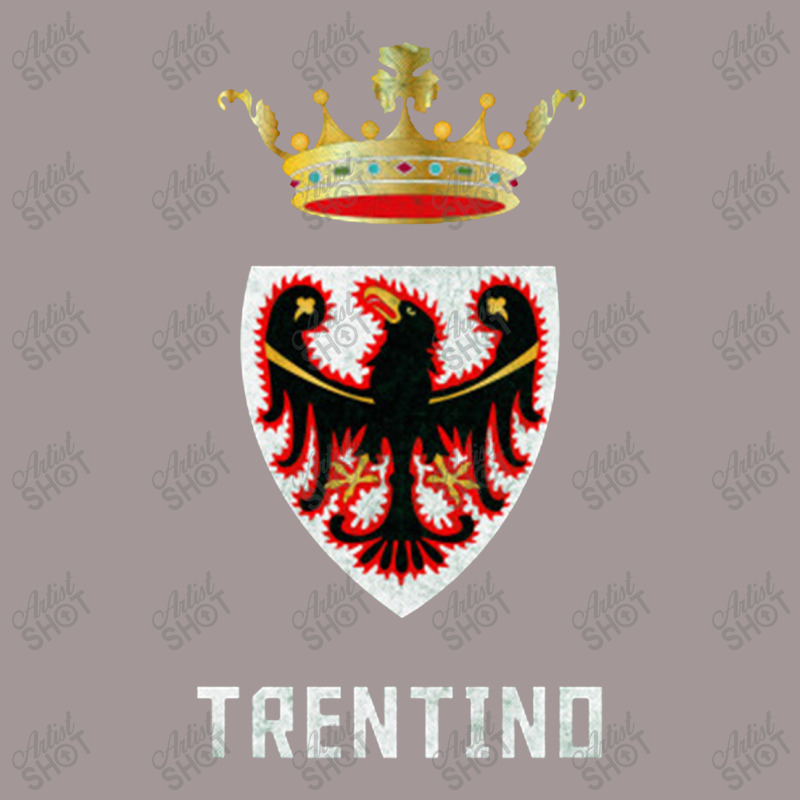 Trentino, Italy Region Flag Design Vintage Hoodie | Artistshot