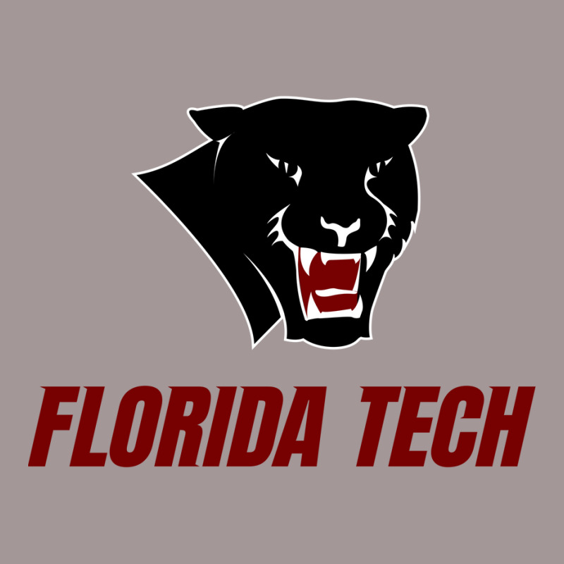 Florida Tech Panthers Vintage Short | Artistshot