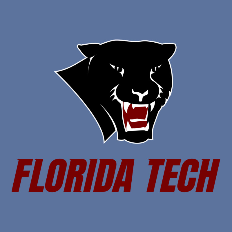 Florida Tech Panthers Lightweight Hoodie | Artistshot