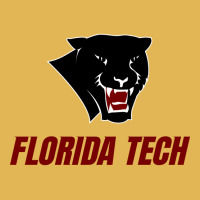 Florida Tech Panthers Vintage Hoodie And Short Set | Artistshot