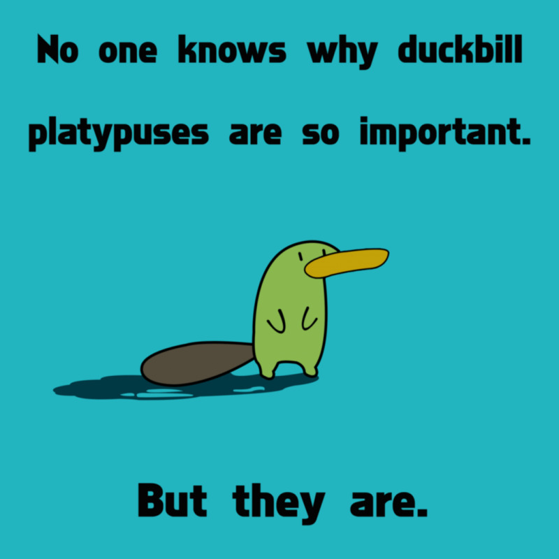 Duckbill Platypuses Are Important All Over Men's T-shirt | Artistshot