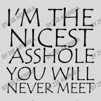 I'm The Nicest Asshole You Will Never Meet Women's Triblend Scoop T-shirt | Artistshot