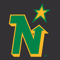 Minnesota North Stars Vintage Hoodie | Artistshot