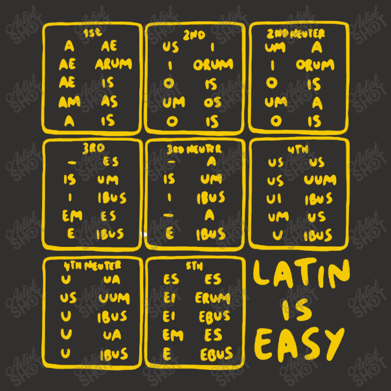 Latin Declensions Cheatsheet Ladies Champion Hoodie by Vario | Artistshot