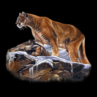 Mountain Lion Cougar Tank Top V-neck Tee | Artistshot