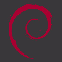 Debian Ladies Curvy T-shirt | Artistshot