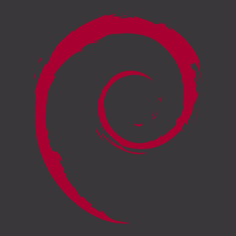 Debian Ladies Curvy T-Shirt by gesumarsa | Artistshot