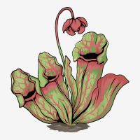 Northern Pitcher Plant Tshirt Carnivorous Plants Sarracenia T Shirt 15 Oz Coffee Mug | Artistshot