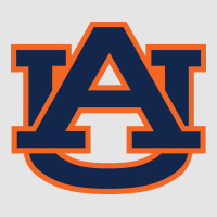 Auburn Tigers Exclusive T-shirt | Artistshot