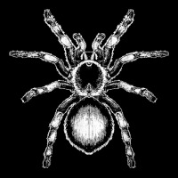 Tarantula Huge Spider Phobia Halloween Costume Arachnophobia T Shirt Face Mask | Artistshot