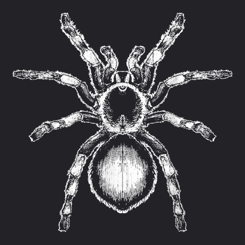 Tarantula Huge Spider Phobia Halloween Costume Arachnophobia T Shirt Youth Tee | Artistshot
