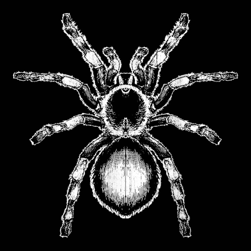 Tarantula Huge Spider Phobia Halloween Costume Arachnophobia T Shirt Toddler 3/4 Sleeve Tee | Artistshot