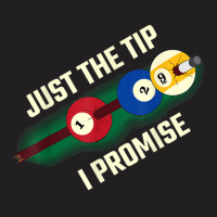 Just The Tip I Promise T Shirt T-shirt | Artistshot