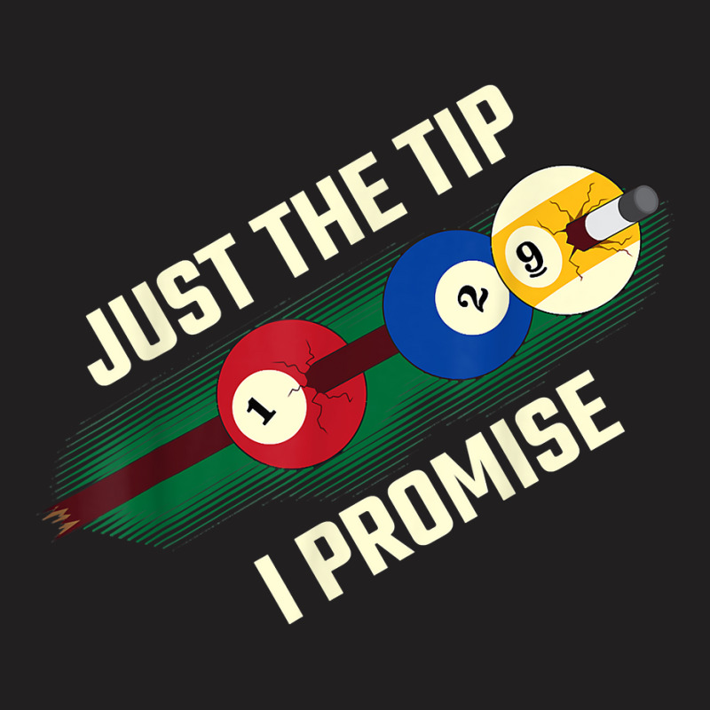 Just The Tip I Promise T Shirt T-shirt | Artistshot