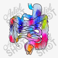 Digestive Digestive System Gastrointestinal Tract Watercolor Art Gifts Ladies Fitted T-shirt | Artistshot