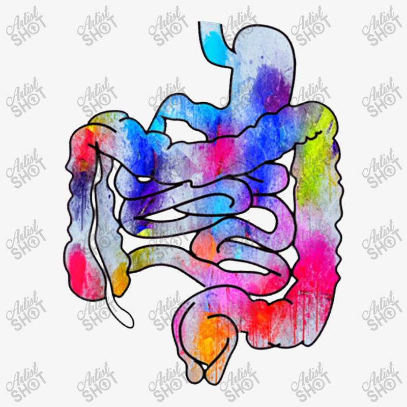 Digestive Digestive System Gastrointestinal Tract Watercolor Art Gifts Ladies Fitted T-Shirt by matiroso | Artistshot