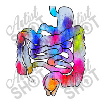 Digestive Digestive System Gastrointestinal Tract Watercolor Art Gifts Crop Top | Artistshot