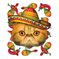 Cinco De Mayo Exotic Shorthair Sombrero Mexican Cat Fiesta T Shirt Youth Sweatshirt | Artistshot