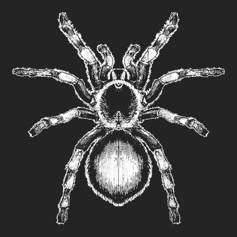 Tarantula Huge Spider Phobia Halloween Costume Arachnophobia T Shirt 3/4 Sleeve Shirt | Artistshot