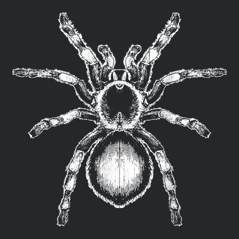 Tarantula Huge Spider Phobia Halloween Costume Arachnophobia T Shirt Crewneck Sweatshirt | Artistshot