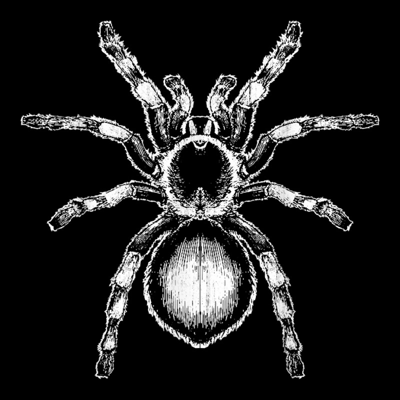 Tarantula Huge Spider Phobia Halloween Costume Arachnophobia T Shirt Men's Long Sleeve Pajama Set | Artistshot