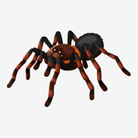Tarantula Spider Creepy Arachnophobia Halloween Costume T Shirt Face Mask | Artistshot