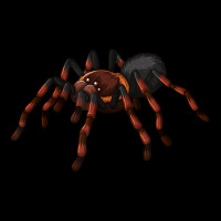 Tarantula Spider Creepy Arachnophobia Halloween Costume T Shirt Men's 3/4 Sleeve Pajama Set | Artistshot