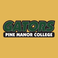 Pine Manor College Gators Vintage Hoodie And Short Set | Artistshot