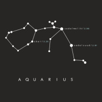 Aquarius Constellation T Shirt   Astronomy Stargazing Ladies Fitted T-shirt | Artistshot