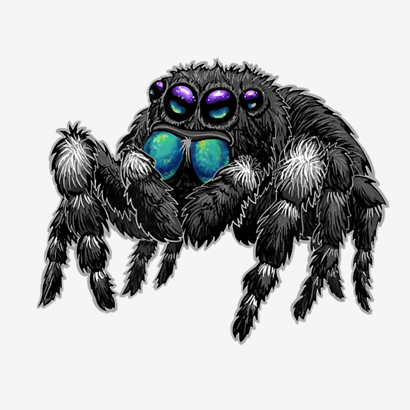 Daring Bold Jumping Spider Phidippus Audax Cute Arachnid T Shirt 15 Oz Coffee Mug | Artistshot