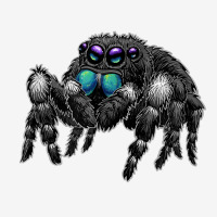 Daring Bold Jumping Spider Phidippus Audax Cute Arachnid T Shirt Oval Patch | Artistshot