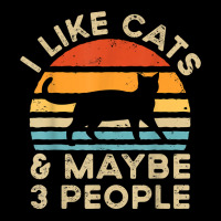 I Like Cats And Maybe 3 People T Shirt Lightweight Hoodie | Artistshot