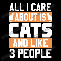 All I Care About Is Cats And Like 3 People Maternity Scoop Neck T-shirt | Artistshot