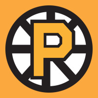 Providence Bruins Yellow Zipper Hoodie | Artistshot