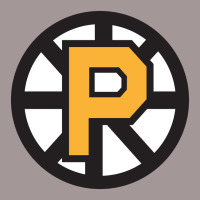 Providence Bruins Yellow Vintage Short | Artistshot