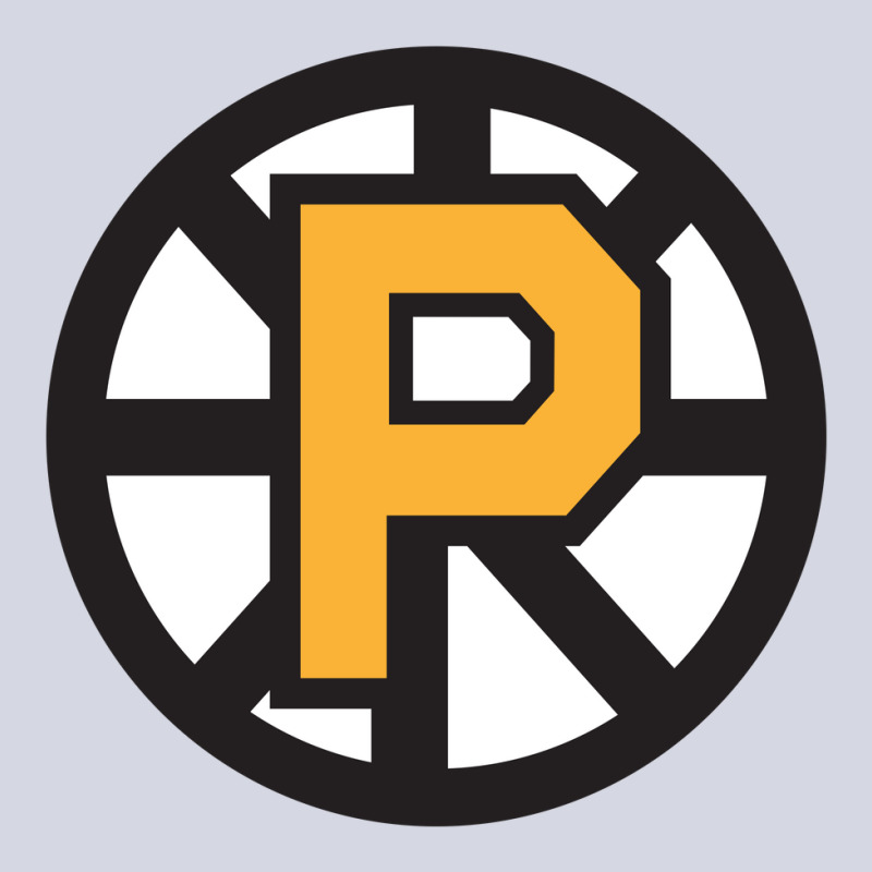 Providence Bruins Yellow Fleece Short | Artistshot