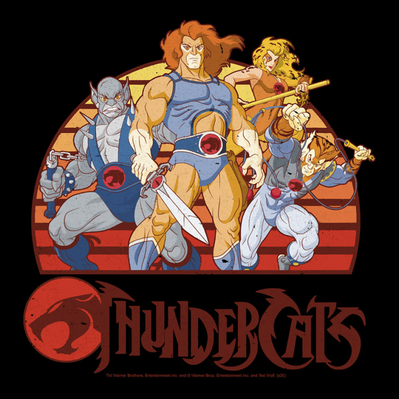 Thundercats Group Retro Sunset Pullover Hoodie Youth Jogger by norhannuchols | Artistshot