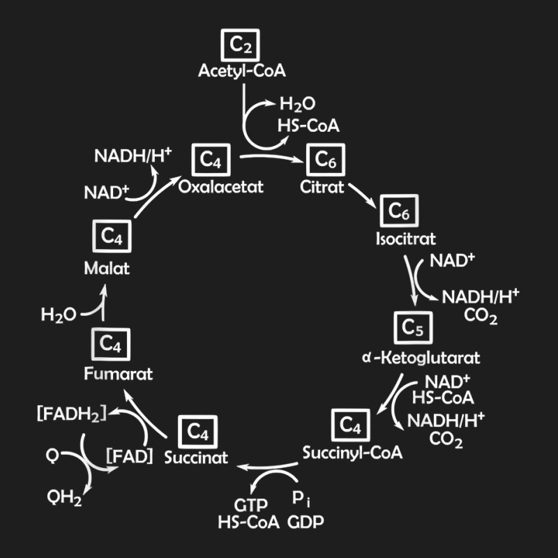 Biochemist Citric Acid Cycle Biology Biologist Biochemistry T Shirt Classic T-shirt by damarcusswabb | Artistshot