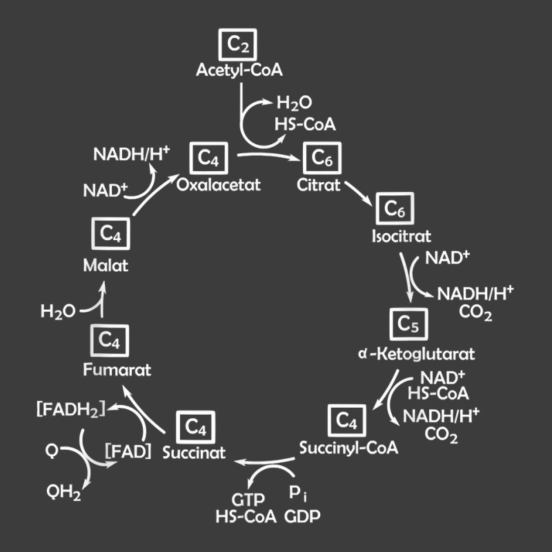 Biochemist Citric Acid Cycle Biology Biologist Biochemistry T Shirt Men's Polo Shirt by damarcusswabb | Artistshot