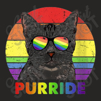 Womens Funny American Shorthair Cat Rainbow Gay Pride Lgbtq Ladies Fitted T-shirt | Artistshot