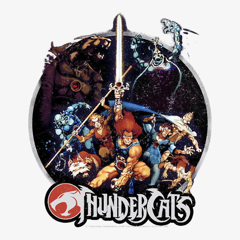 Thundercats Group Shot Vintage Circle T Shirt Ladies Fitted T-Shirt by HUUY | Artistshot