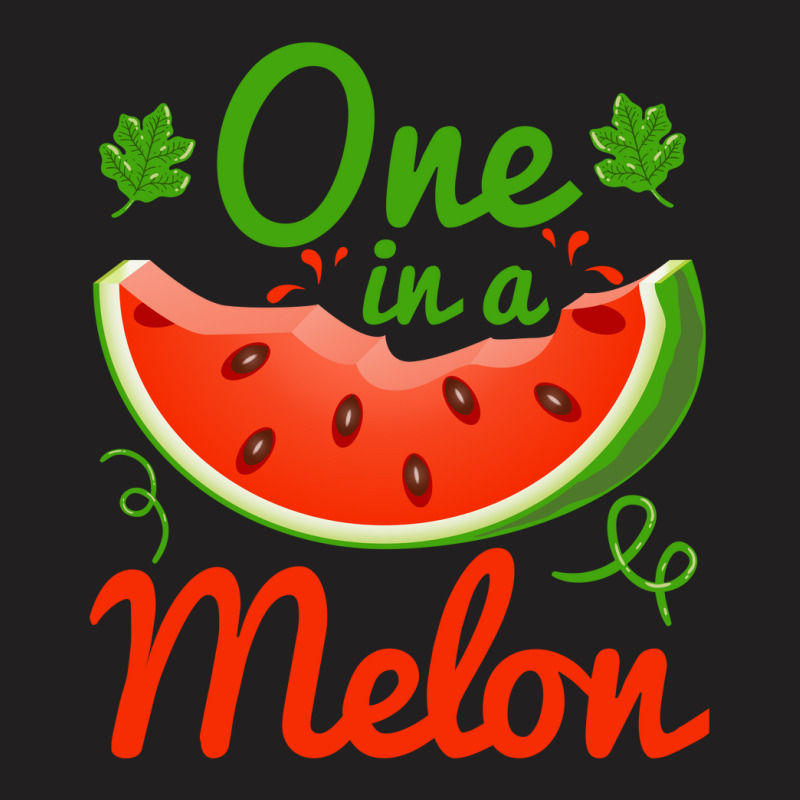 One In A Melon Cute Styler Funny Summer Watermelon T-shirt | Artistshot