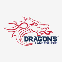 Lane College Dragons Youth 3/4 Sleeve | Artistshot