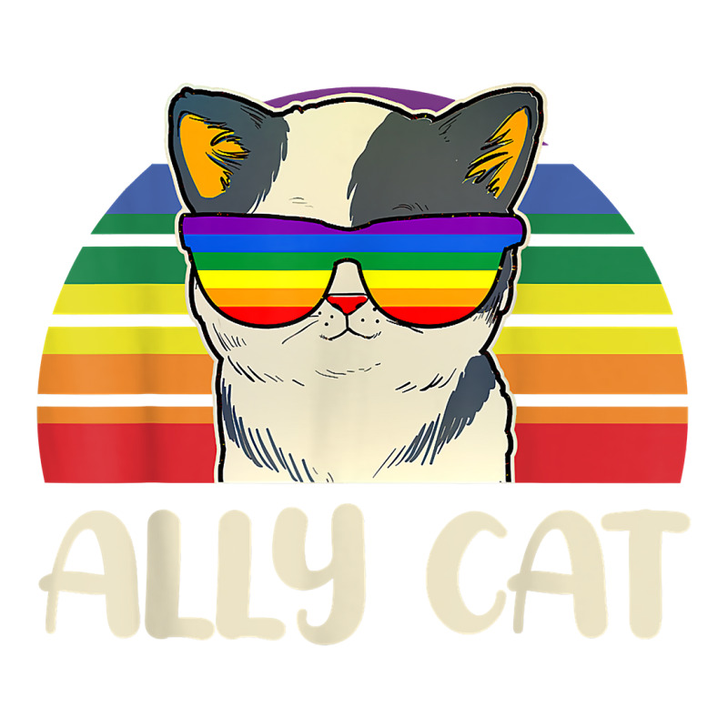 Ally Cat Glasses Sunset Rainbow Lgbt Gay Lesbian Trans Pride T Shirt ...