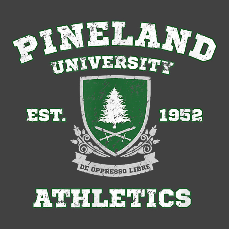 Pineland University Athletics Sports Vintage T Shirt Vintage T-shirt | Artistshot