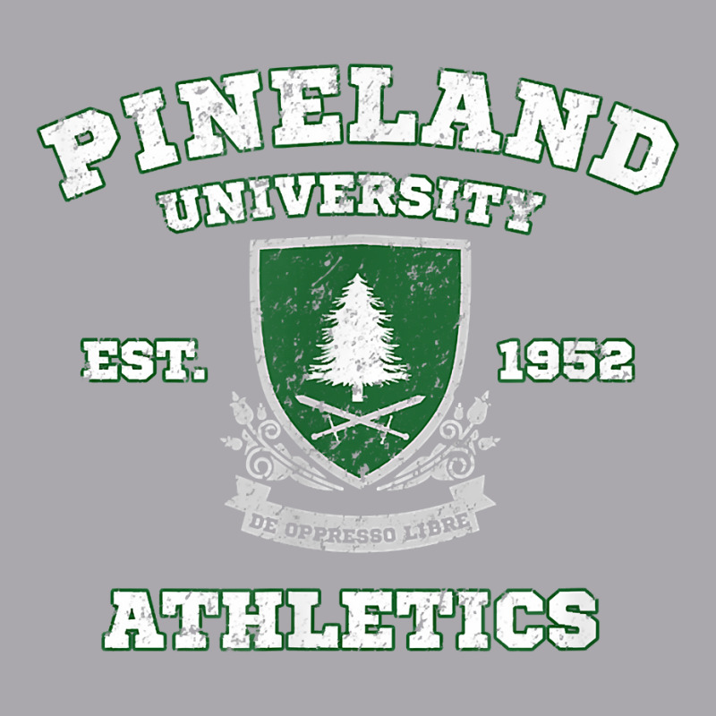 Pineland University Athletics Sports Vintage T Shirt Youth 3/4 Sleeve | Artistshot