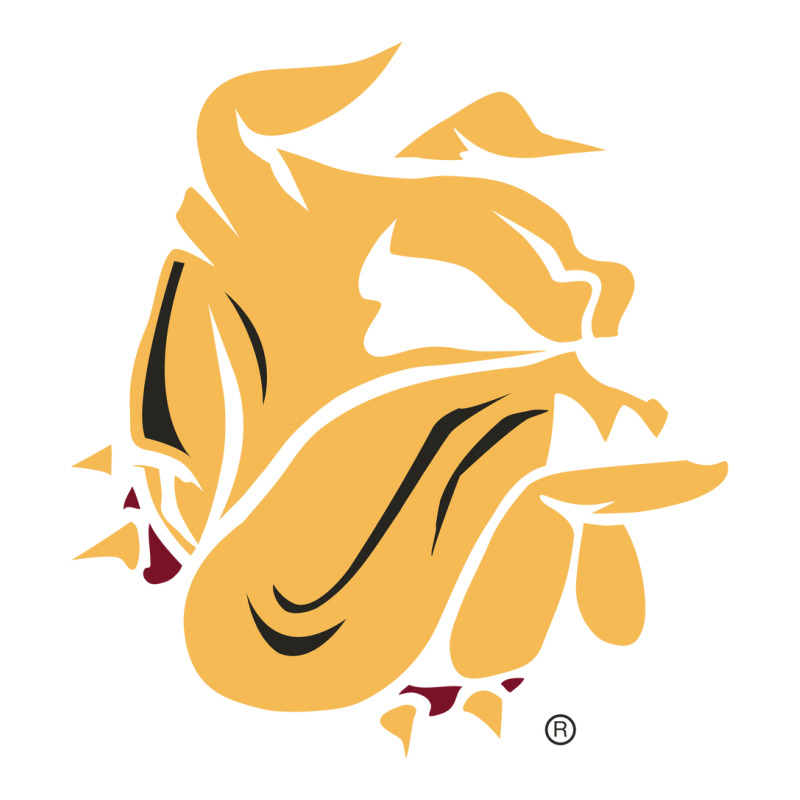 University Of Minnesota Duluth Bulldogs Sticker | Artistshot